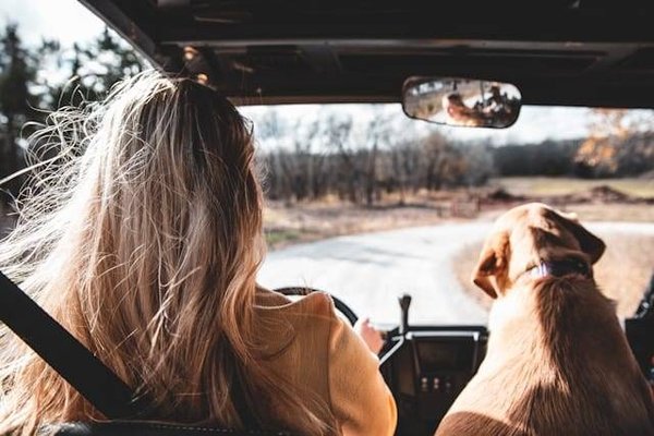 Les Meilleurs Snacks pour Rester en Forme et Satisfait Lors d'un Long Trajet en Voiture